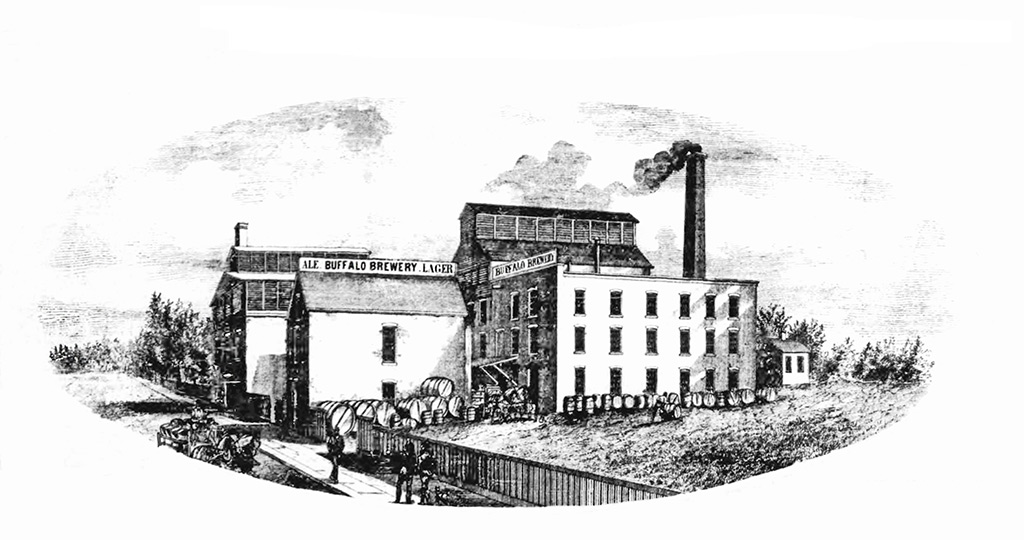 black and white etching of Buffalo Brewing