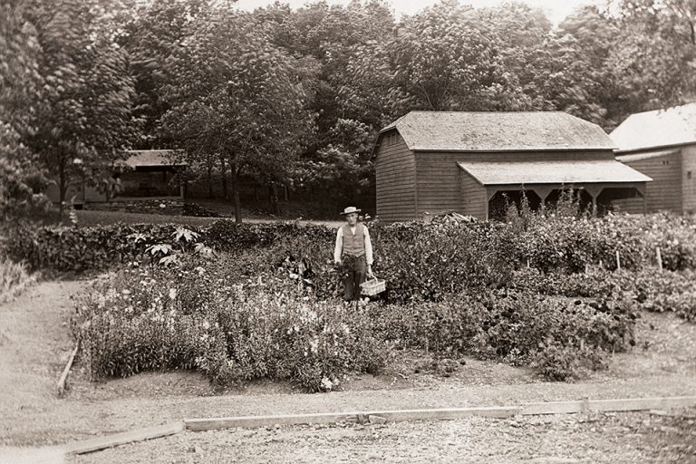 Black and white photo of Gardener Charles Frier with basket, in the kitchen garden at Olana, 1906.