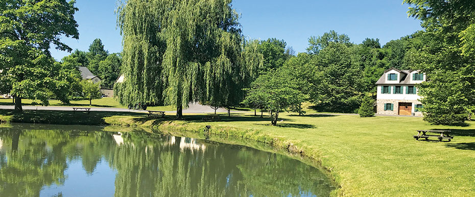 scene with pond and building in background