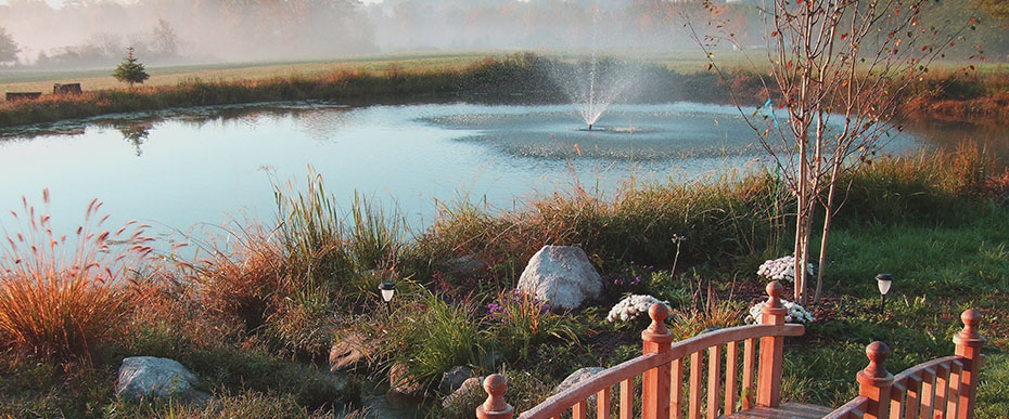 Image of Bridge at Baldwin Vineyard
