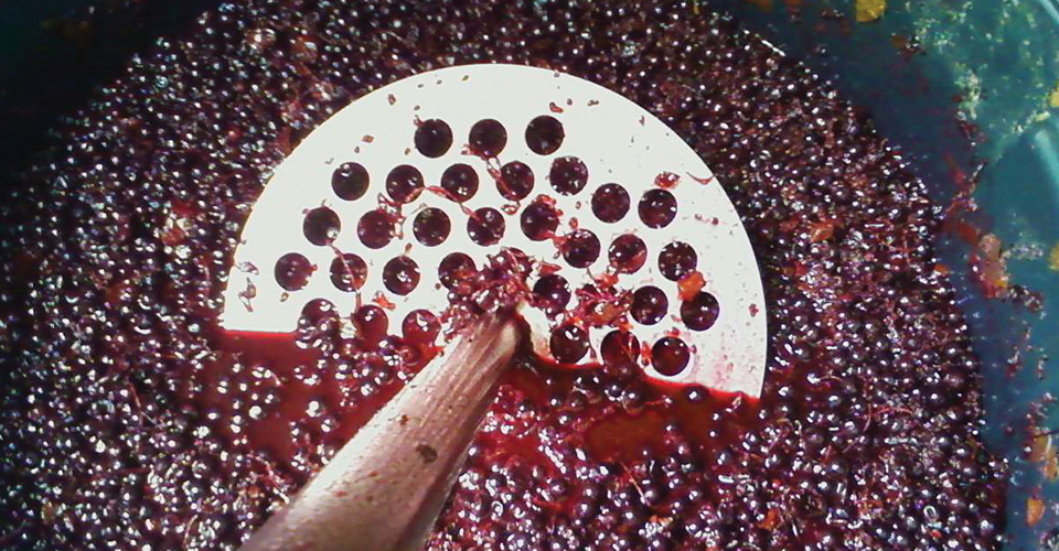 Mashing currants in a fermenting tank