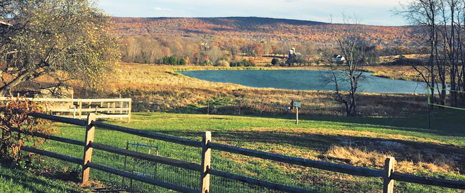 View of Applewood property in the afternoon, with fall foliage and colors.