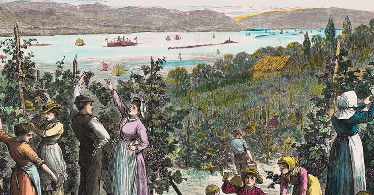 vintage etching of grape picking on the Hudson River