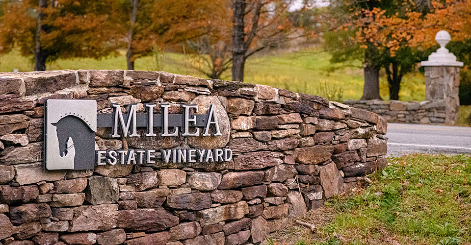 Curved rock wall with Milea Estate Vineyard logo in metal