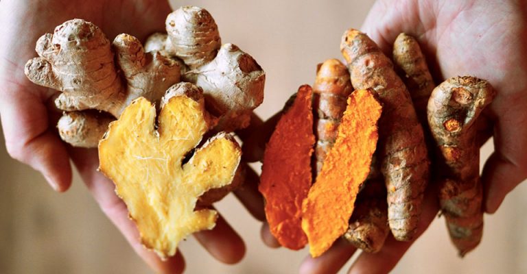 hands holding ginger and tumeric roots
