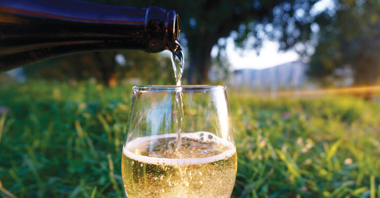 clooseup of cider poured into glass on grass