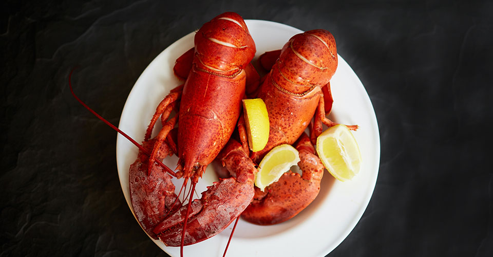 two lobsters on a white plate with lemon wedges