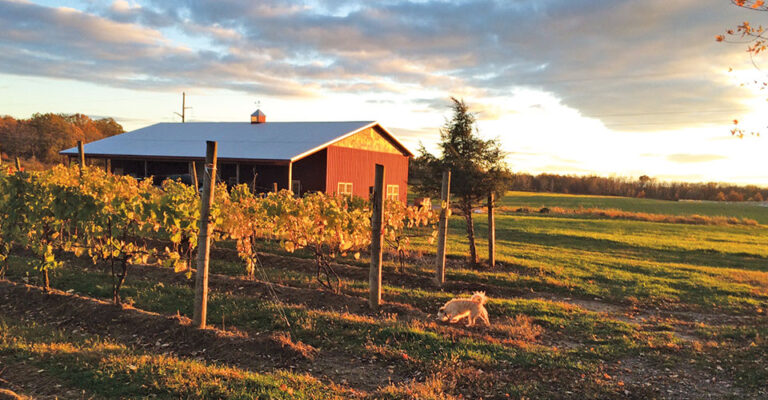 view of red barn at suset