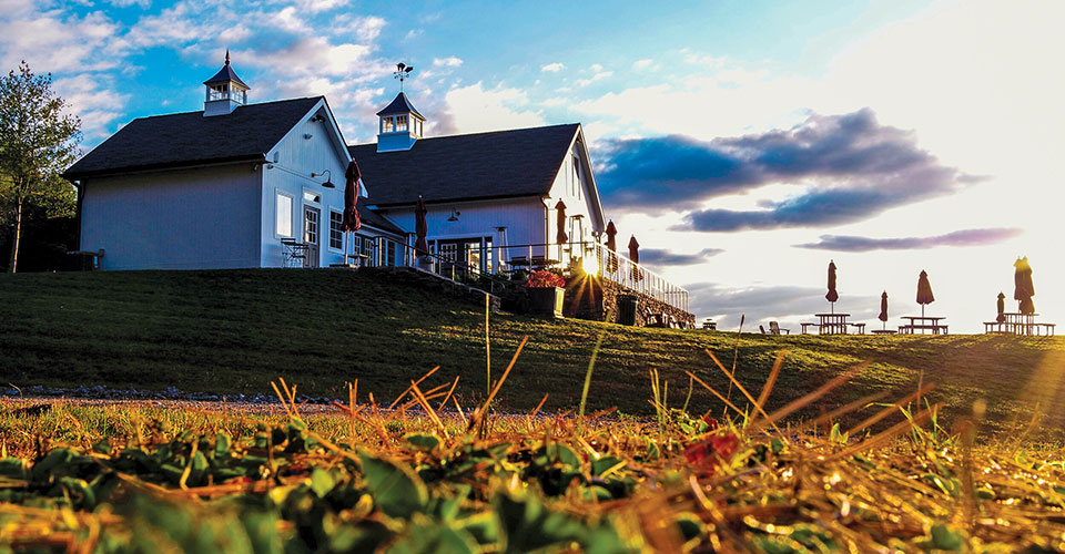 Milea Tasting room at sunset