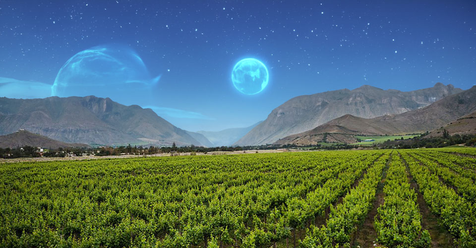 futuristic vineyard view on another planet